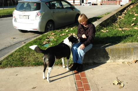 Lynn and campus dog